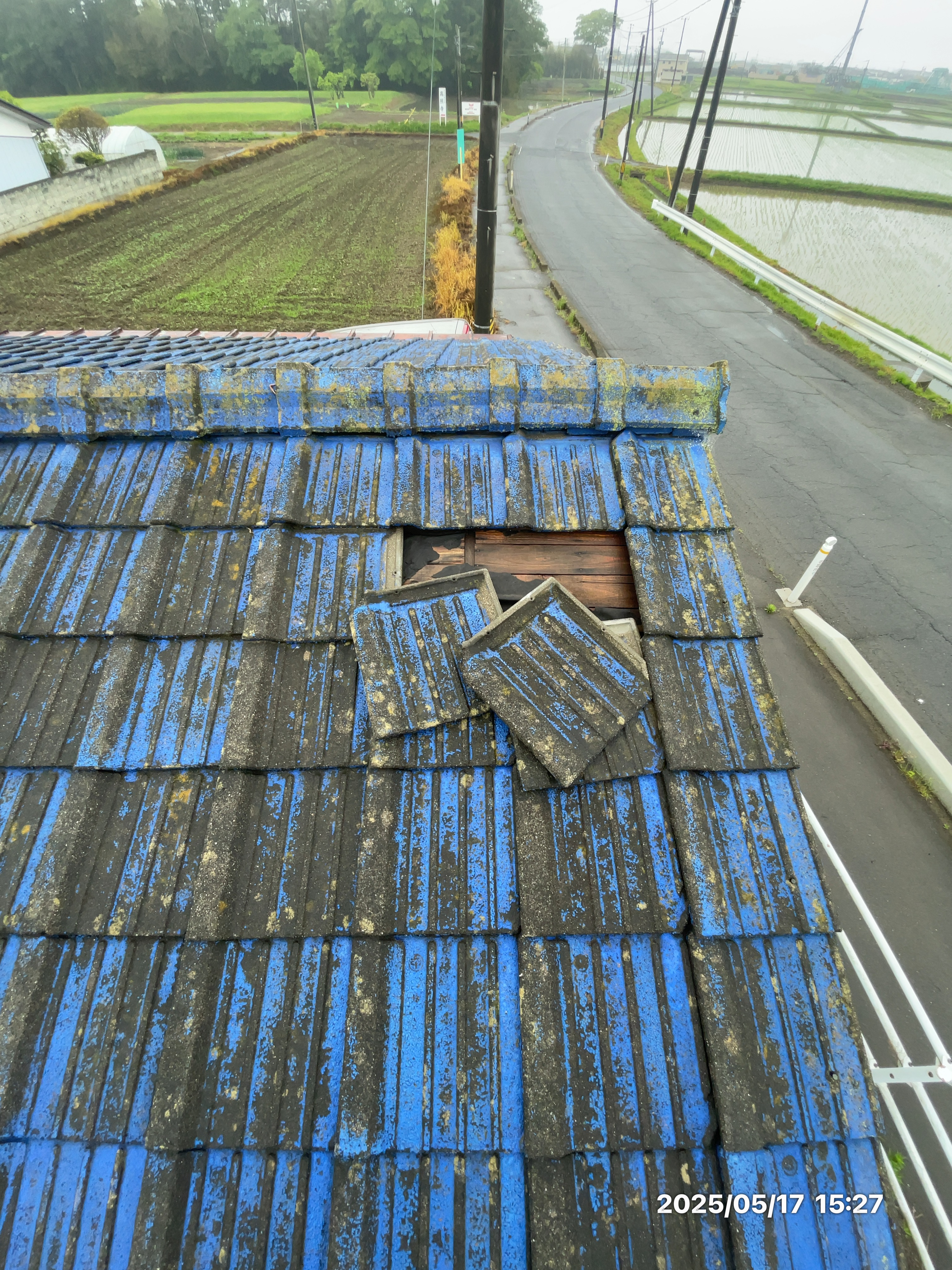 苔やかび(仙台市屋根塗装)