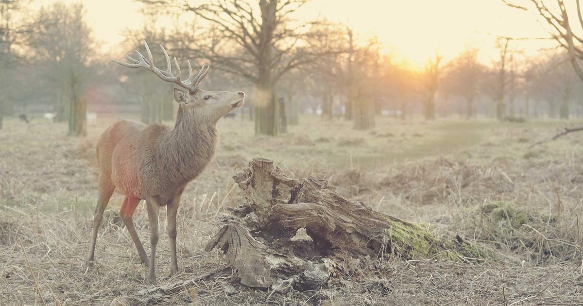 天窓(トップライト)からの雨漏り原因と修理法