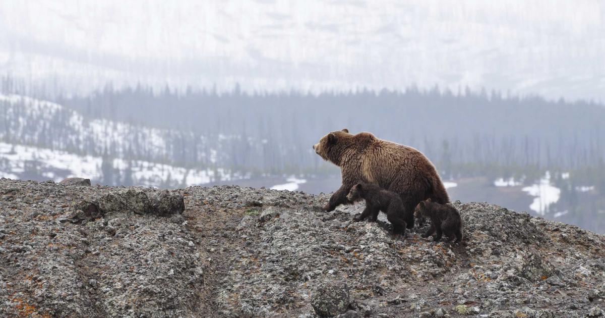 外壁のひび割れが雨漏りを招く原因と補修方法