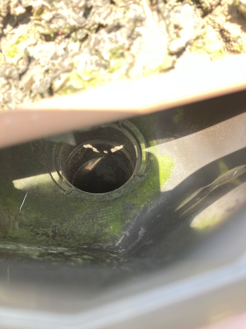 気になる箇所