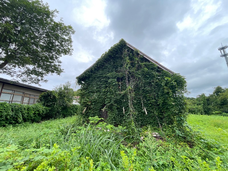 外壁（東面）