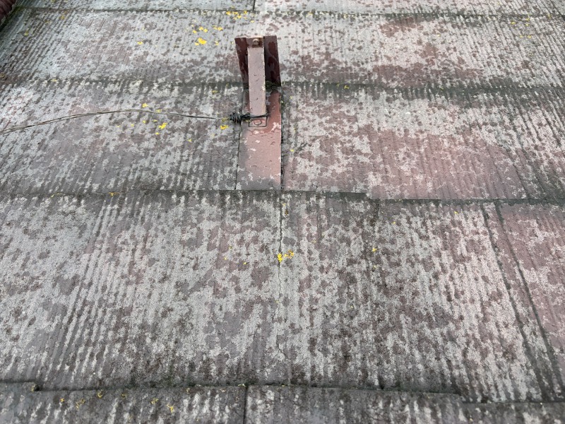 気になる箇所