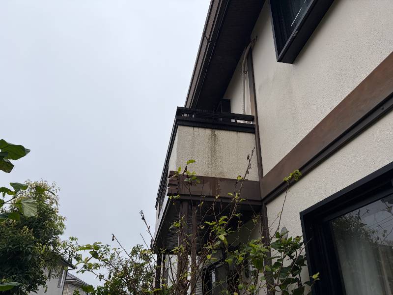 外壁(南面)